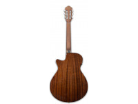 Ibanez AEG50N-NT Nylon Ibanez AEG50N-NT Nylon